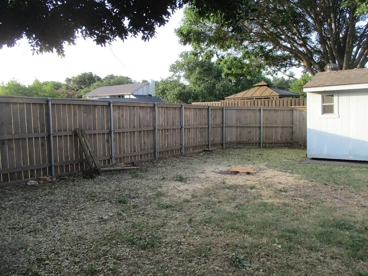 Cleared yard after professional tree removal in Knights Landing